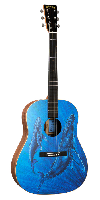 画像: DSS Biosphere II