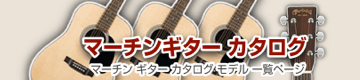 マーチンギター カタログ